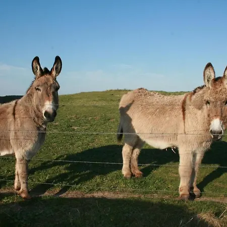 La Brêche Des Chars * Sainte-Marie-du-Mont (Manche)