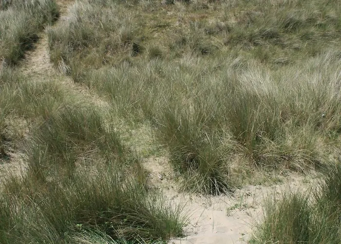 La Breche Des Chars Sainte-Marie-du-Mont (Manche)