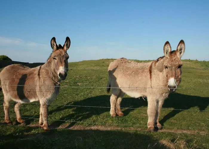 La Breche Des Chars * Sainte-Marie-du-Mont (Manche)